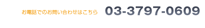 お電話でのお問い合わせはこちら　電話番号：03-6419-3535